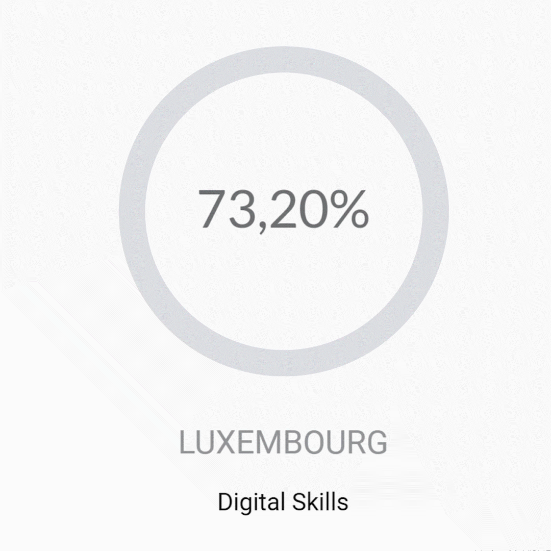 Luxembourg-digital skills gif